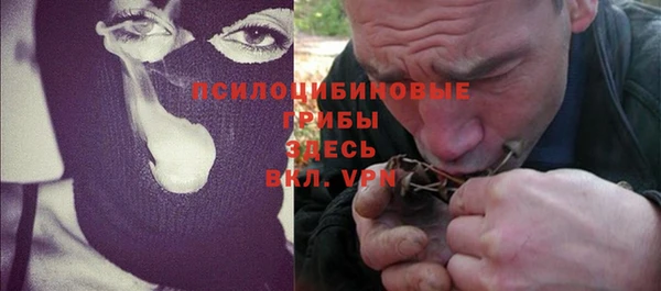 мдпв Аша