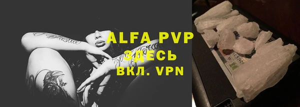 амф Анжеро-Судженск