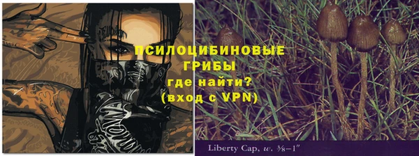 молекула духа Надым