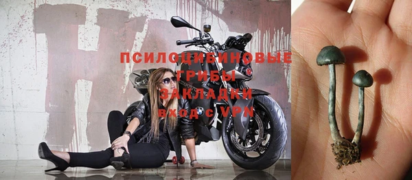 молекула духа Надым