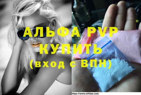молекула духа Надым