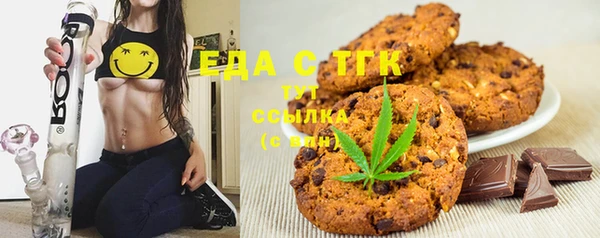 тгк Саки