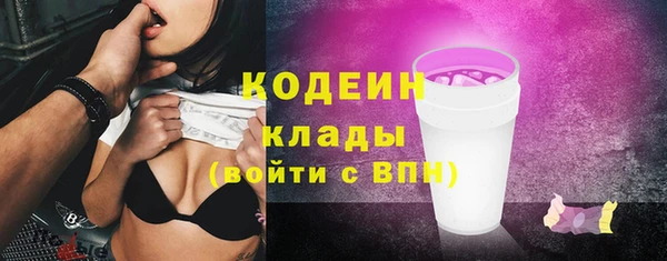 молекула духа Надым